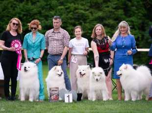 Klubová Výstava Kroměříž   20250105 3